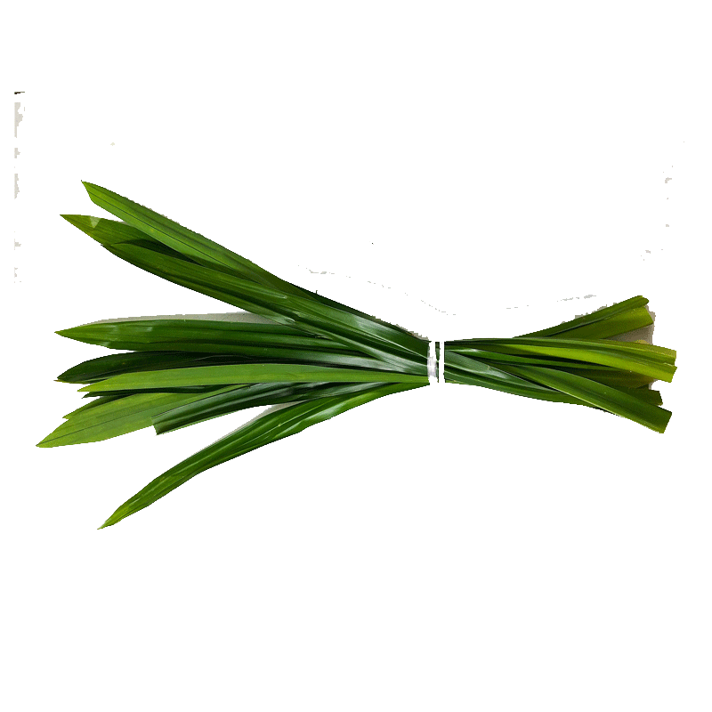 Picture of Pandan Leaf - PKT