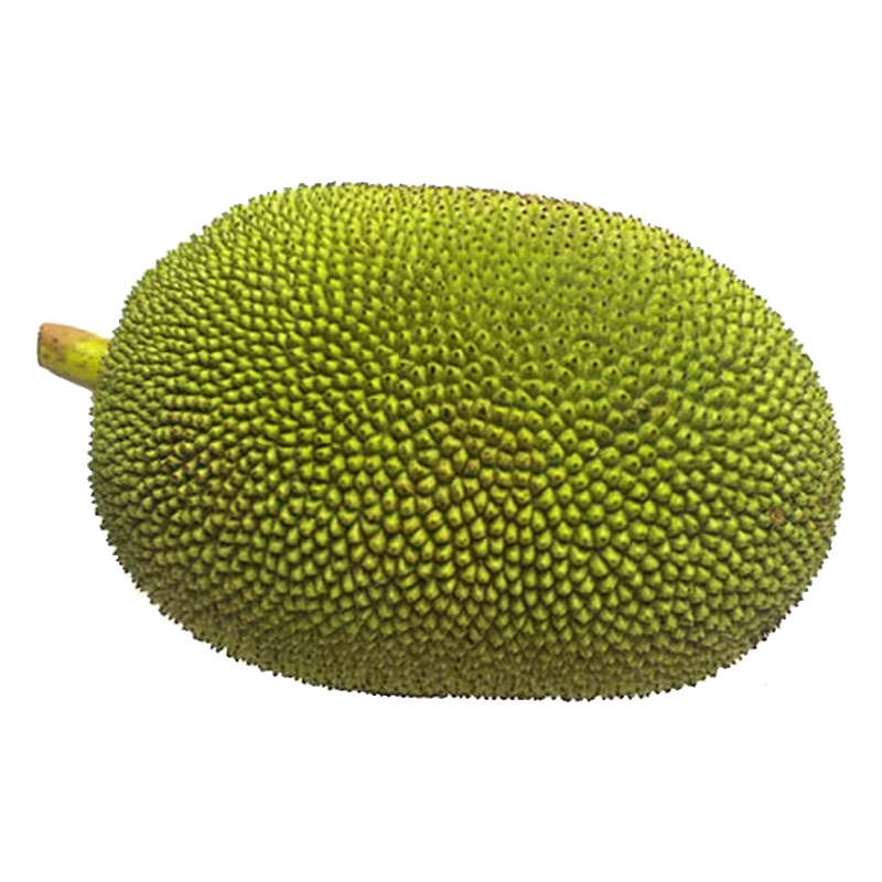 Picture of Jackfruit Fresh - lb