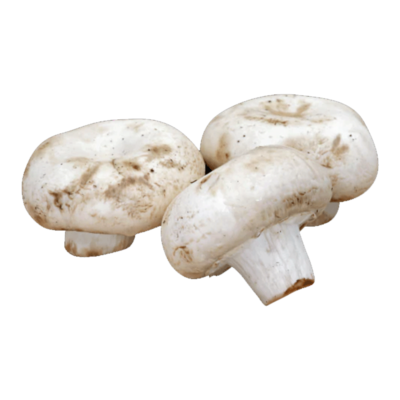 Picture of Organic Mushroom White Fresh - 6oz