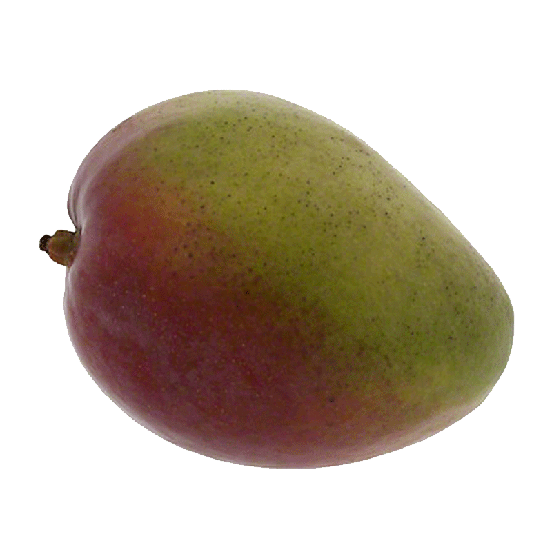 Picture of Organic Mango Big - EA