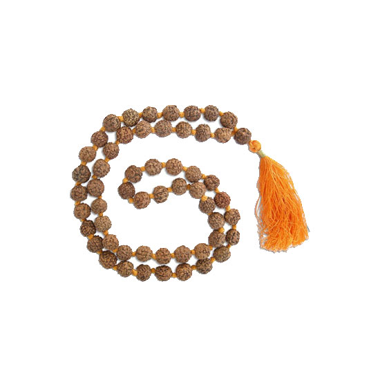 Picture of DS Rudraksha Mala-12MM