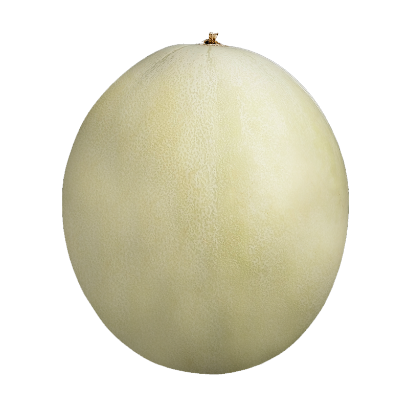 Picture of Honey Dew Melon - EA