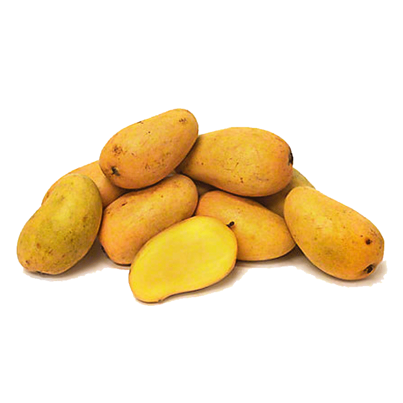 Picture of Organic Mango Case - 12pc