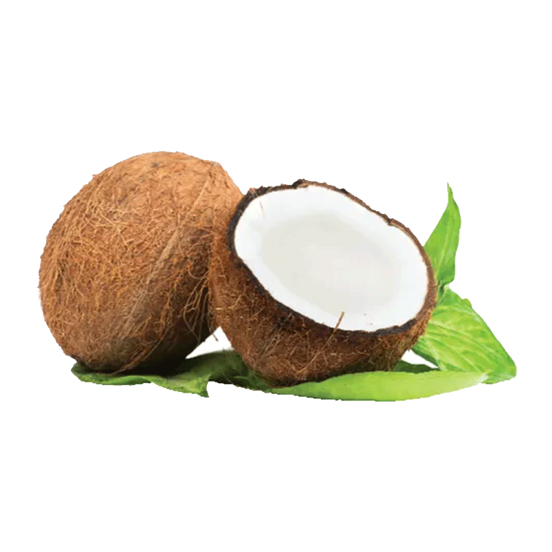 Picture of Organic Coconut - EA