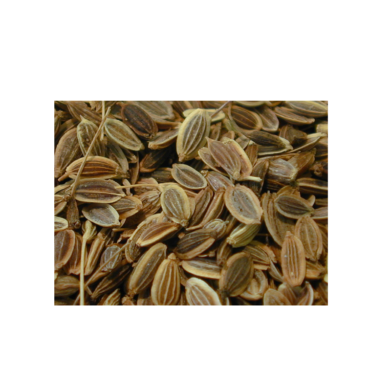 Picture of Khushboo Dill Seeds - 7oz