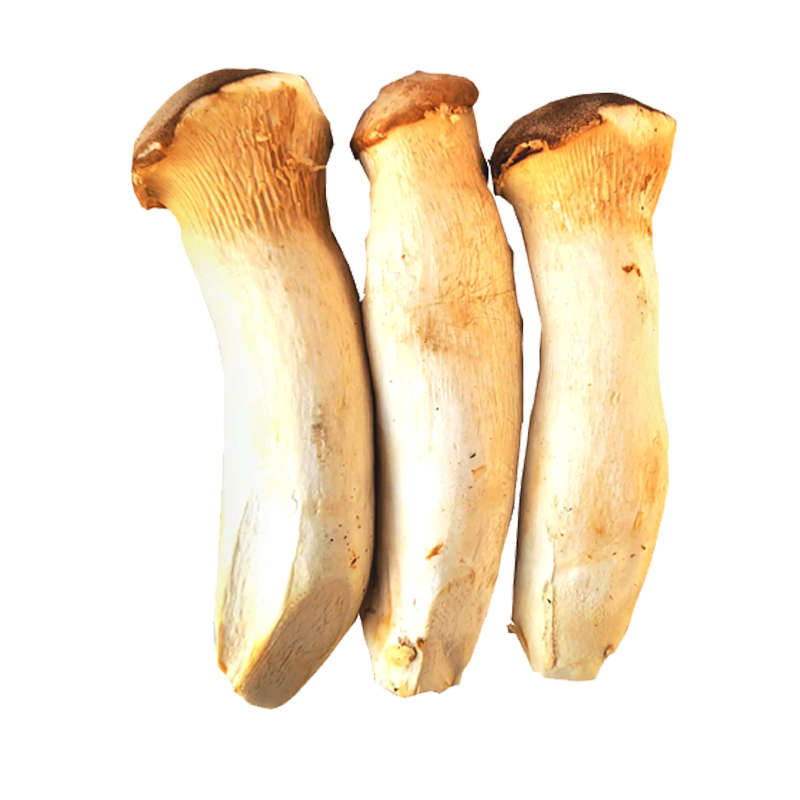 Picture of King Oyster Mushroom - 300g