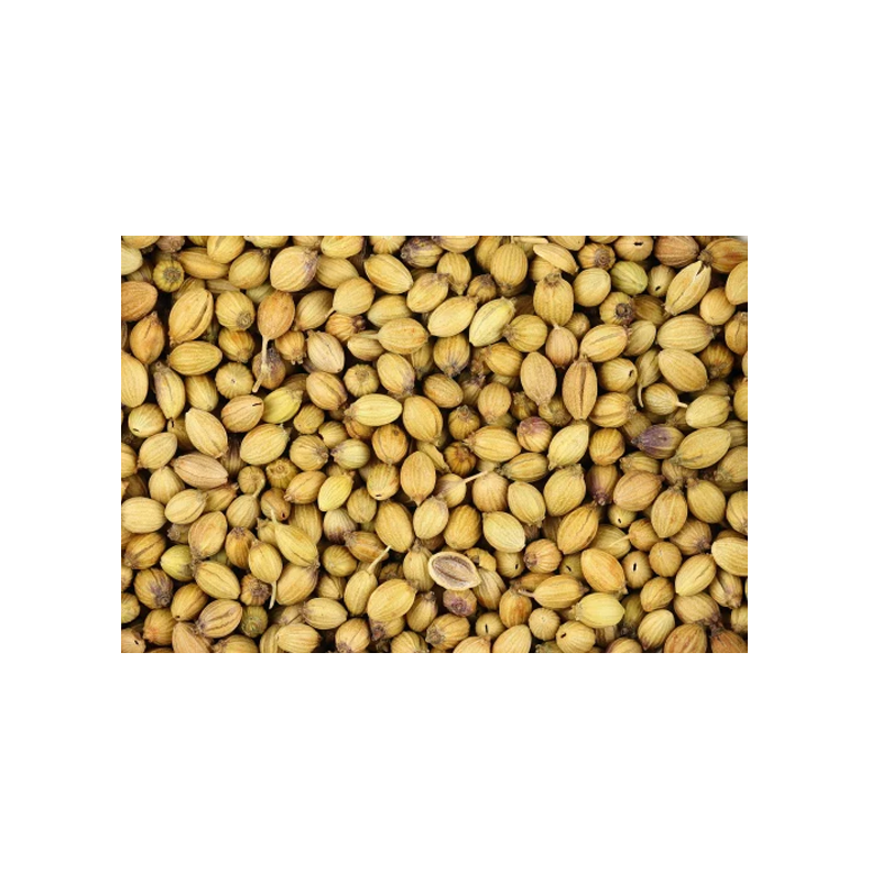 Picture of Khushboo Coriander Seeds - 7oz