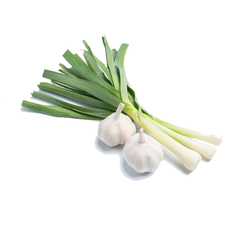 Picture of Green Garlic - EA