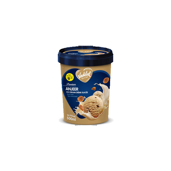 Picture of Vadilal Anjeer Ice Cream - 500ml