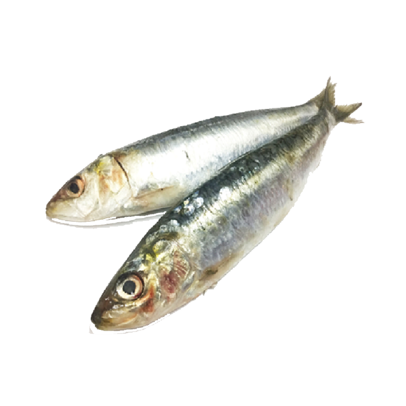 Picture of Sea Supreme Sardine- 2lb