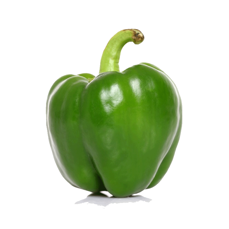 Picture of Organic Bell Pepper Green - lb