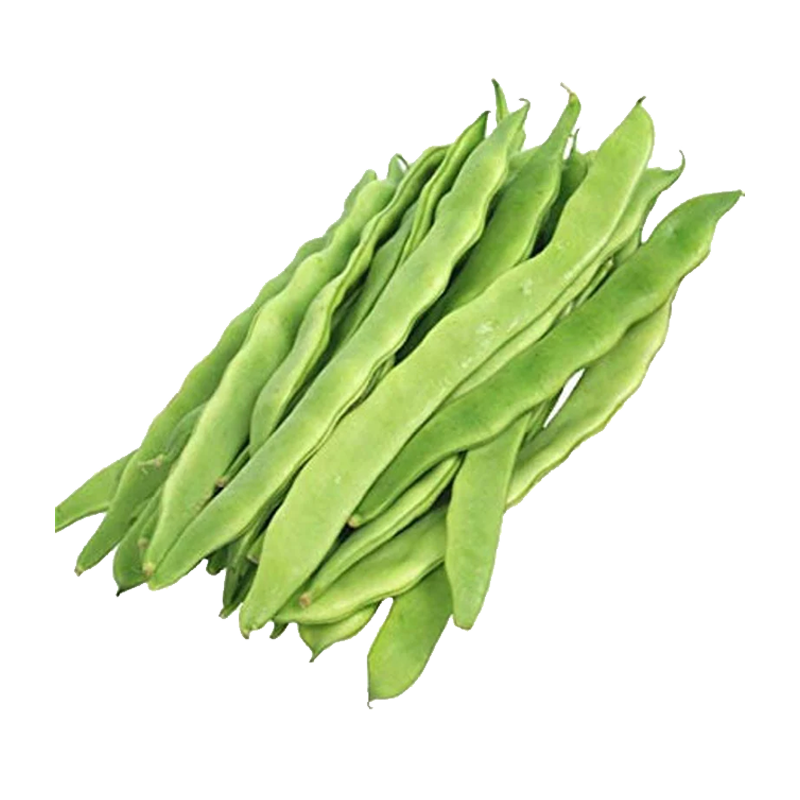 Picture of Romano Beans - lb