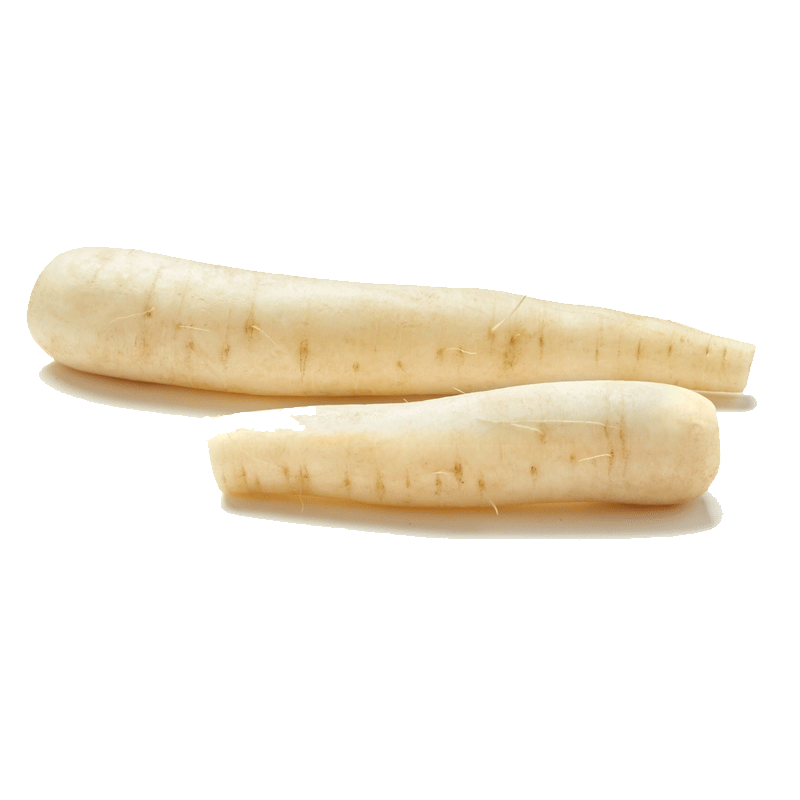 Picture of Organic Daikon - lb