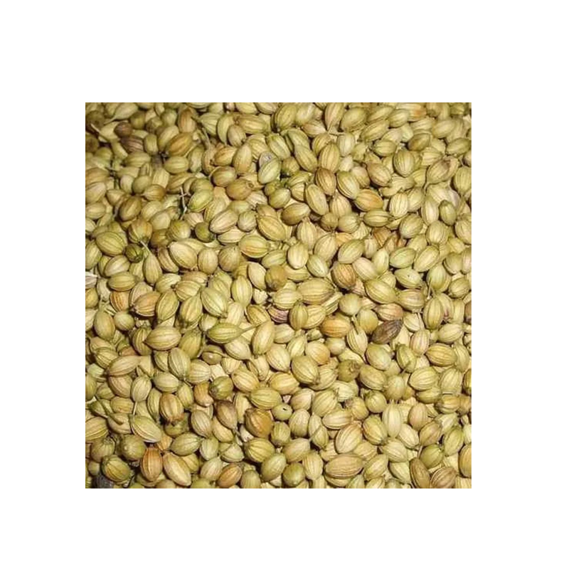 Picture of Khushboo Coriander Seeds-14oz