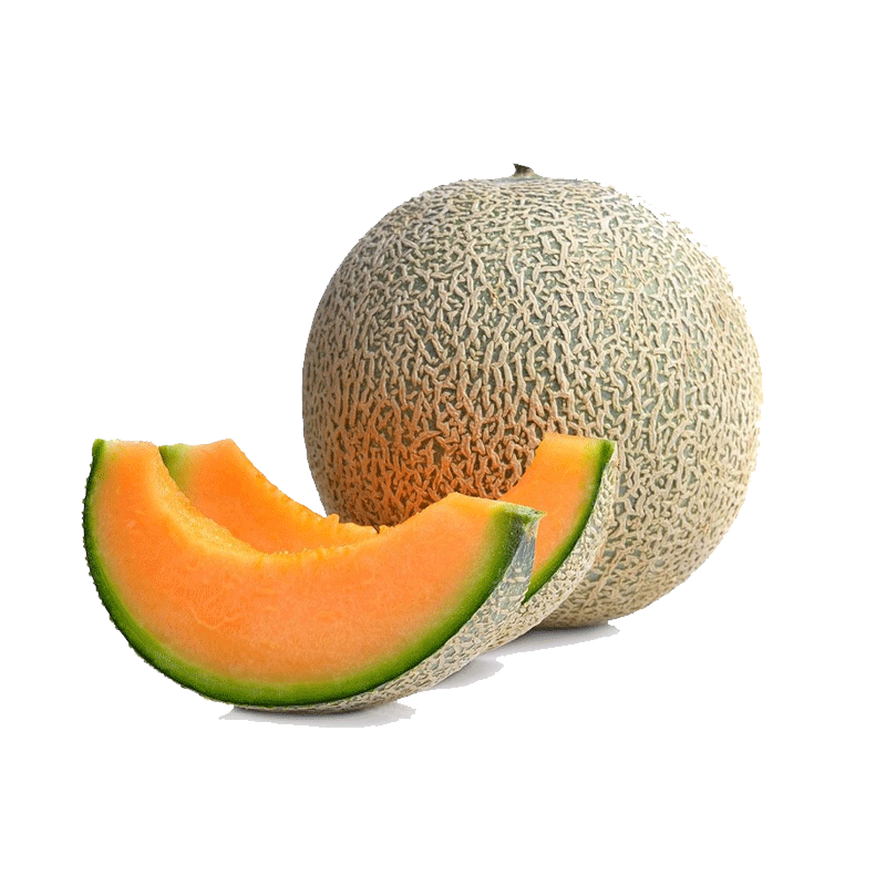 Picture of Organic Cantaloupe - EA