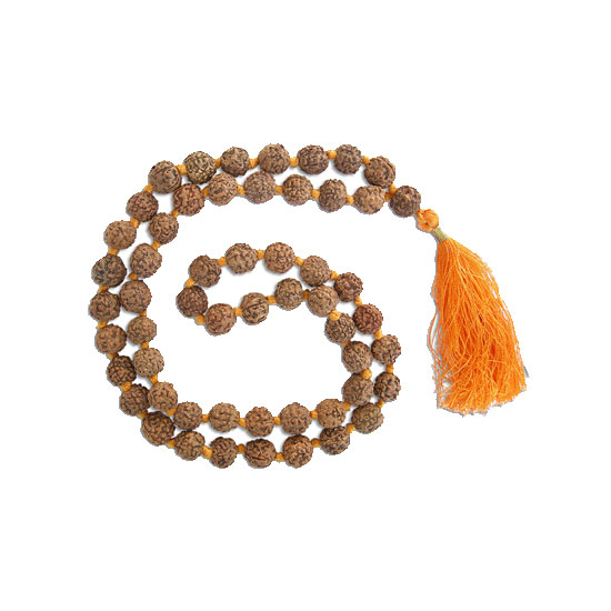 Picture of DS Rudraksh Small Mala-12MM