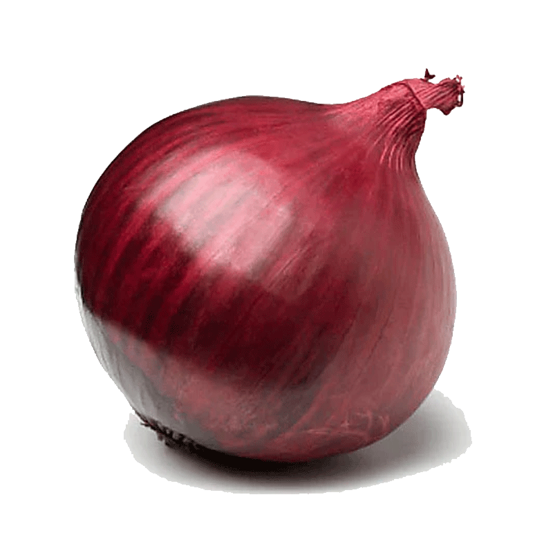 Picture of Organic Onion Red - lb