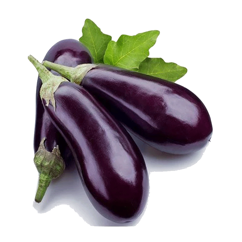 Picture of Organic Eggplant American - EA