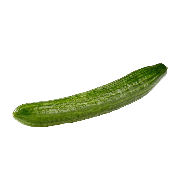 Picture of Cucumber Long - lb