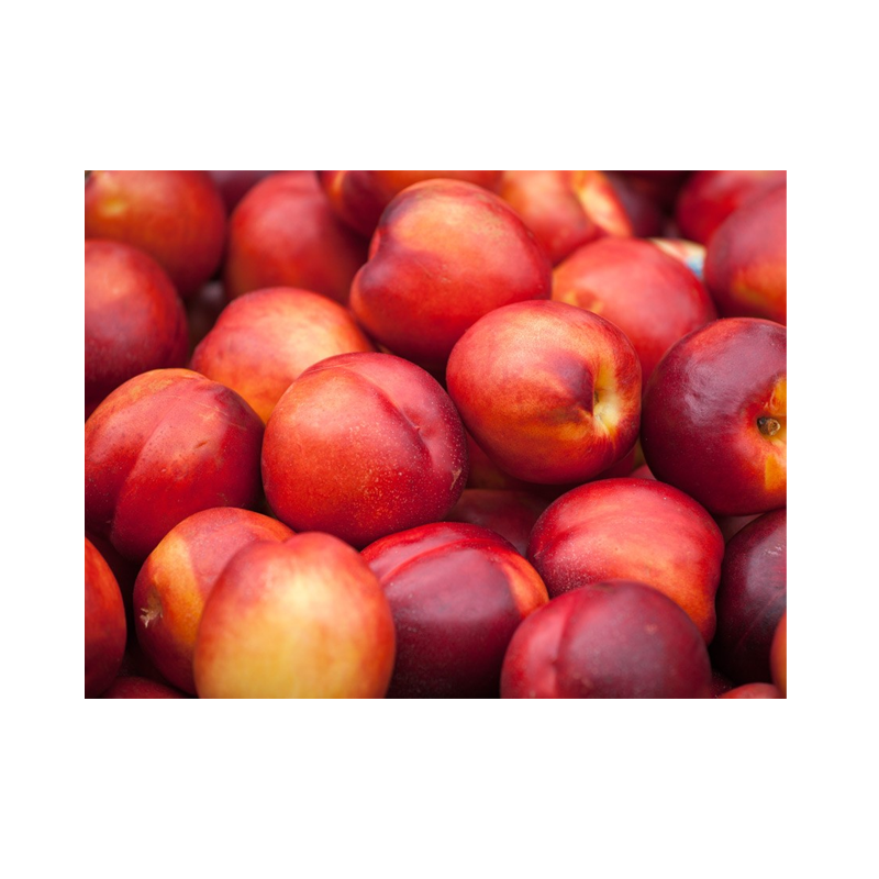 Picture of Nectarine - lb