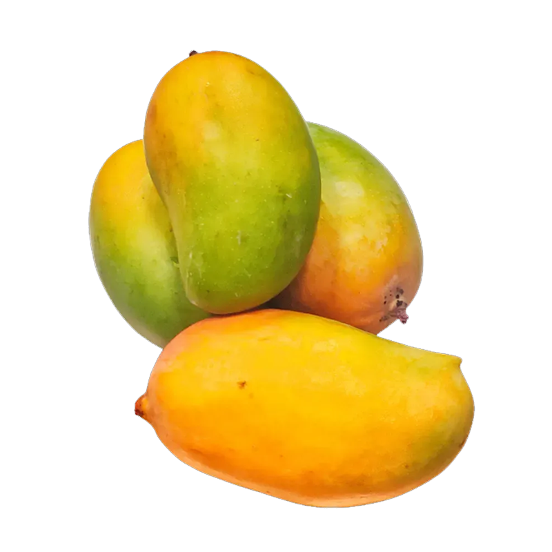 Picture of Indian Mango Kesar - EA