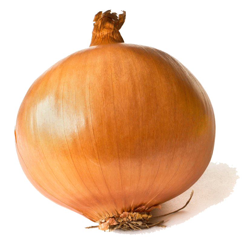 Picture of Onion Yellow - 3lb