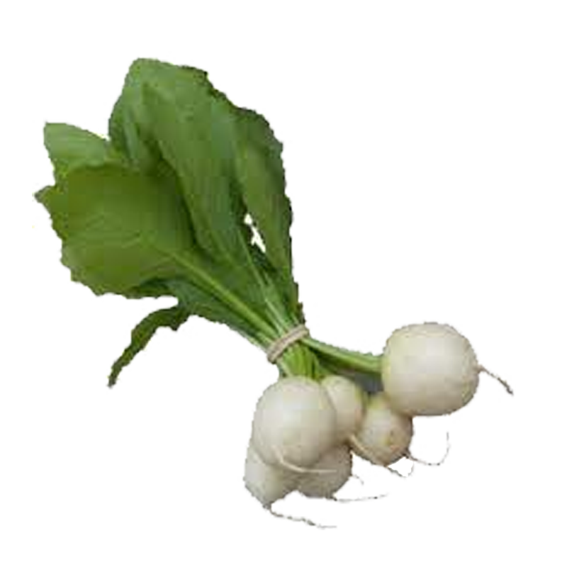 Picture of Turnip White - lb