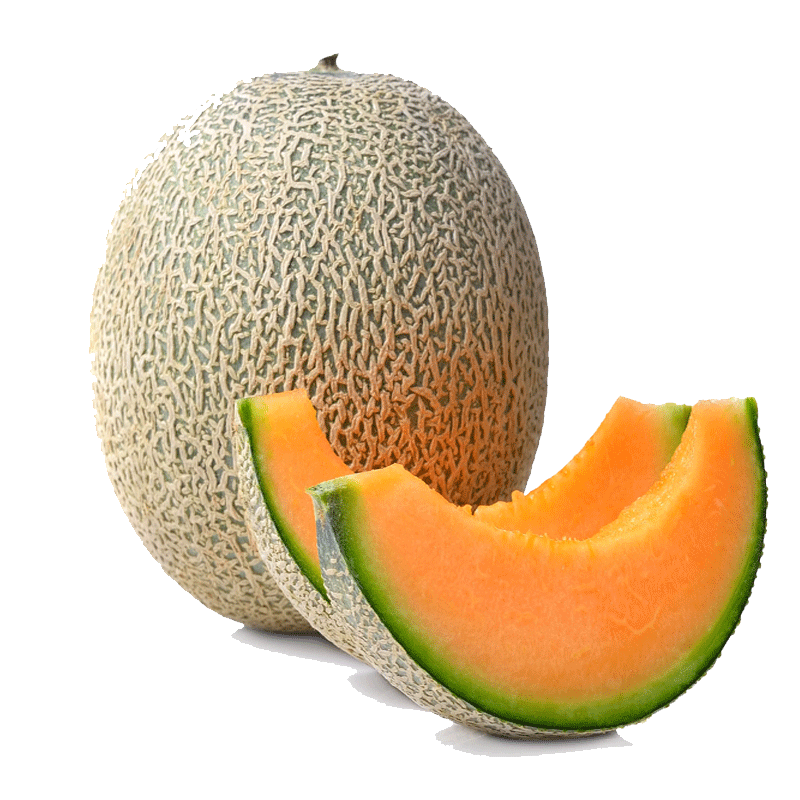 Picture of Cantaloupe Fresh Whole - EA