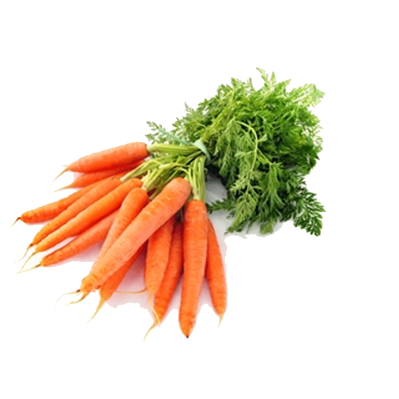 Picture of Organic Carrots Bunch - EA