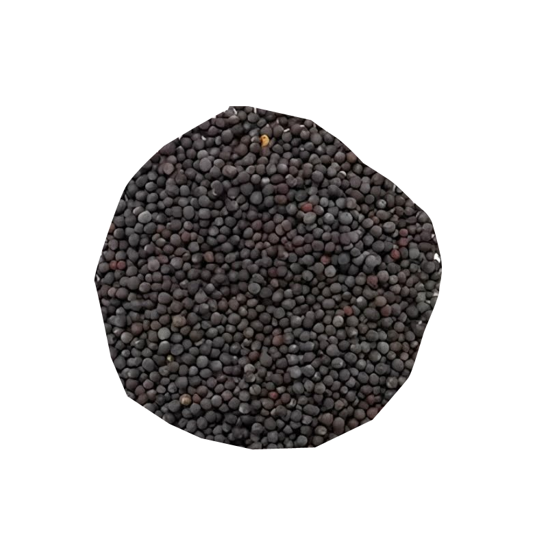 Picture of Hathi Mustard Seeds Black - 400g