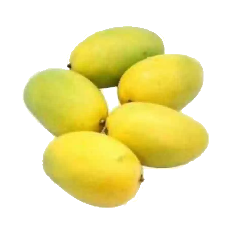 Picture of Mango Dussehri - EA