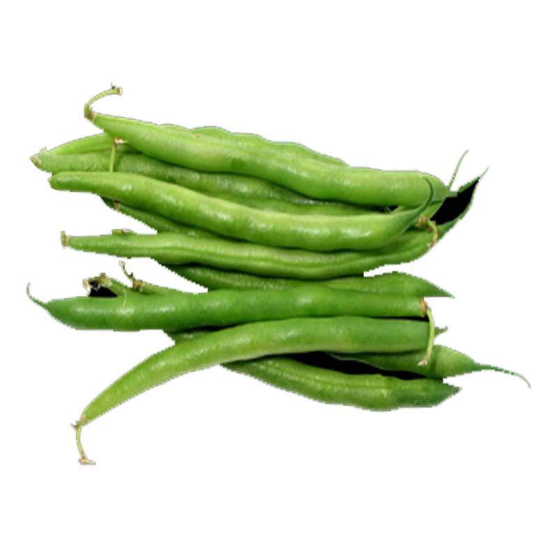 Picture of Round Valor Beans - lb