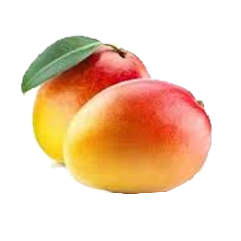 Picture of Mango Haden - EA